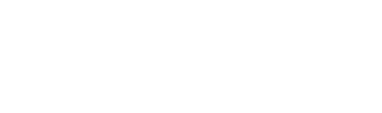 Apidemia Tech Academy